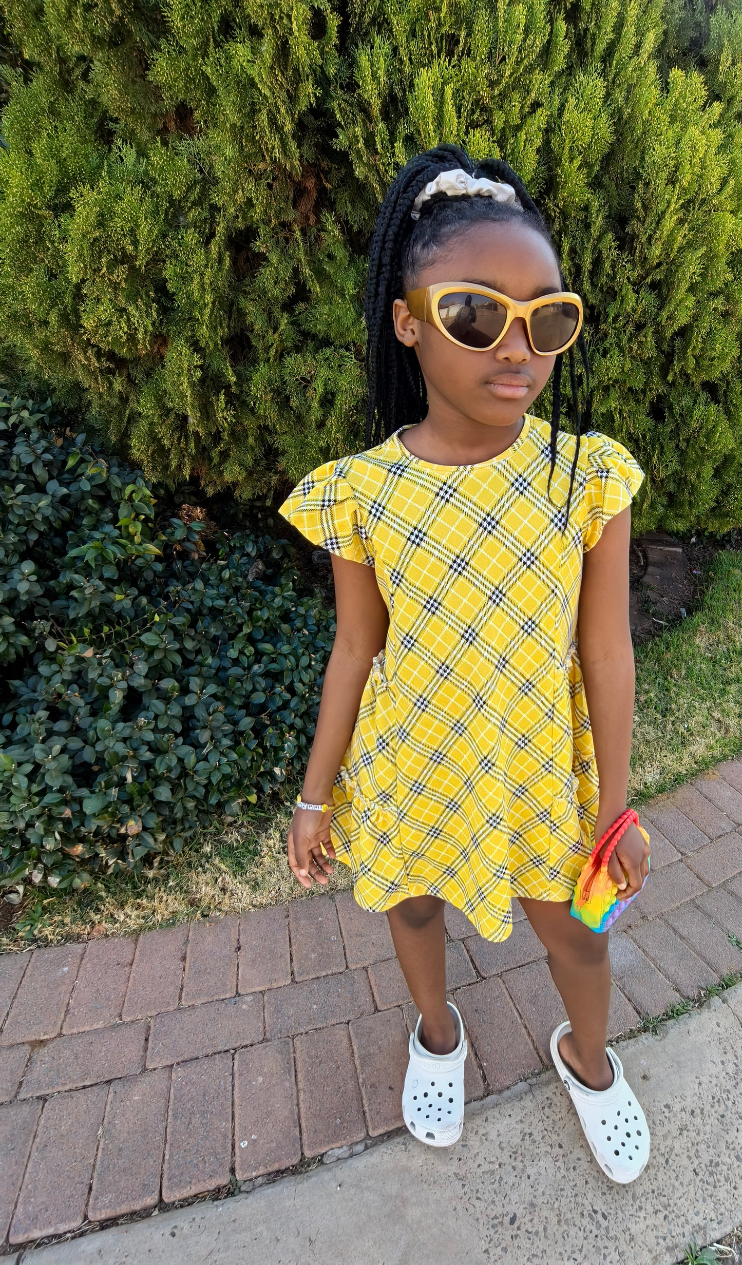 Graceful Charm Elegant Dress