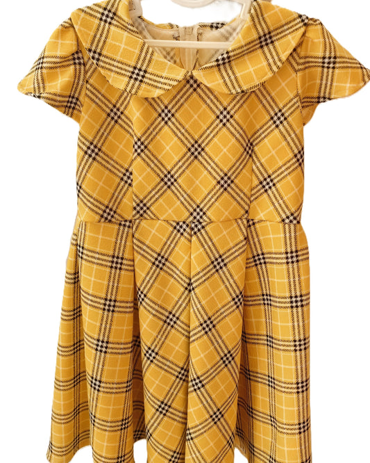 Elegant & Classy Dress